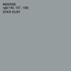 #959D9E - Star Dust Color Image